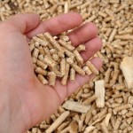 Holzpellets: Alternative zu Gas und Öl